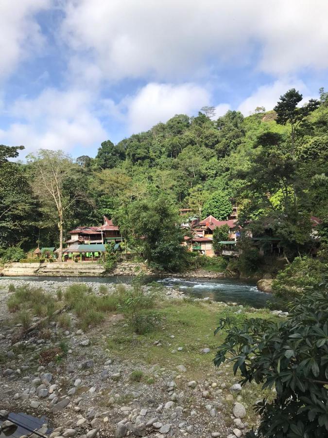Thomas' Retreat Bukit Lawang Hotel Exterior photo