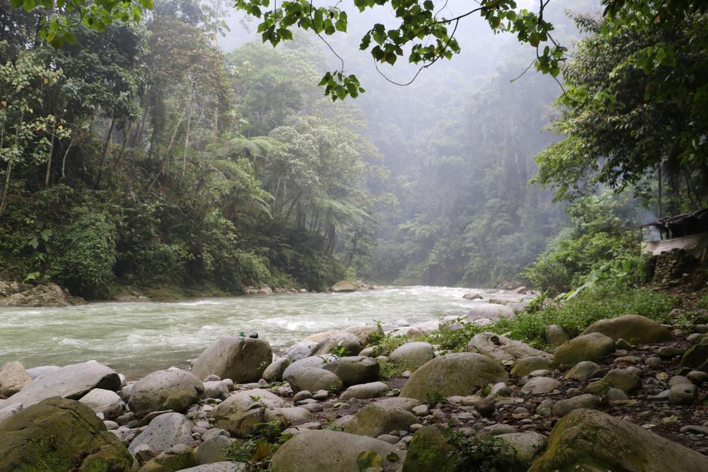 Thomas' Retreat Bukit Lawang Hotel Exterior photo